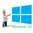 Windows 10 Professional